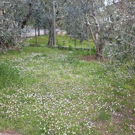 הוילה Montepulciano Stazione Casa Gli Ulivi מראה חיצוני תמונה