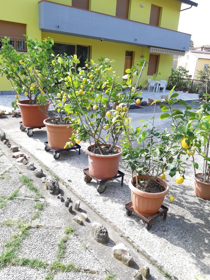 הוילה Montepulciano Stazione Casa Gli Ulivi מראה חיצוני תמונה