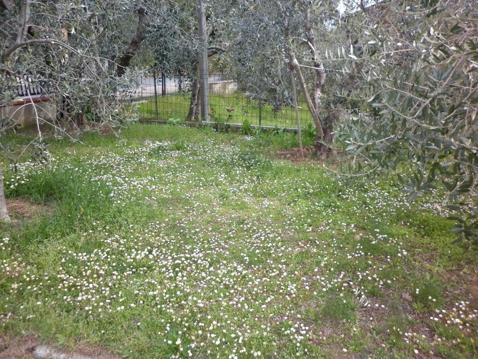 הוילה Montepulciano Stazione Casa Gli Ulivi מראה חיצוני תמונה