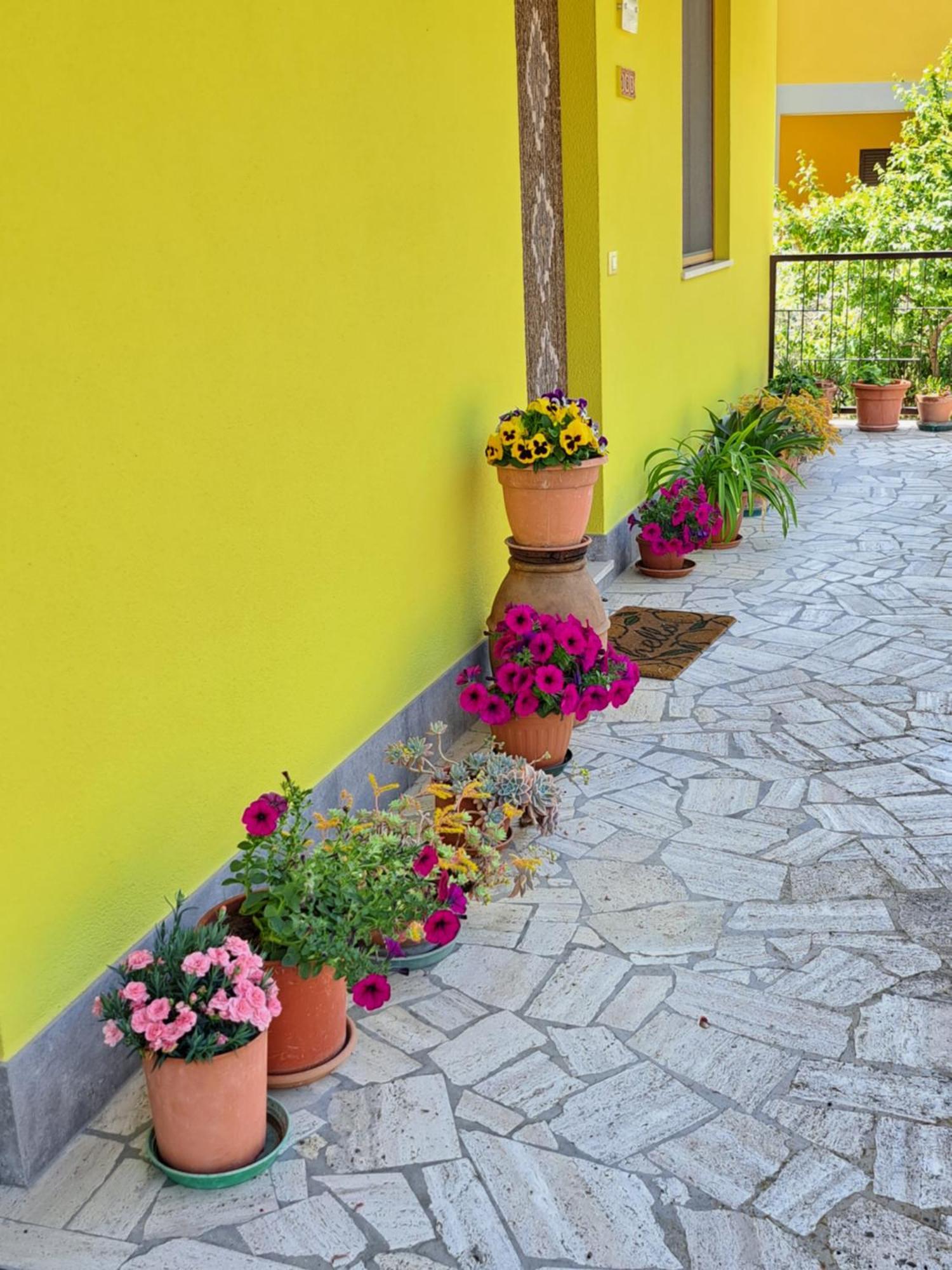 הוילה Montepulciano Stazione Casa Gli Ulivi מראה חיצוני תמונה