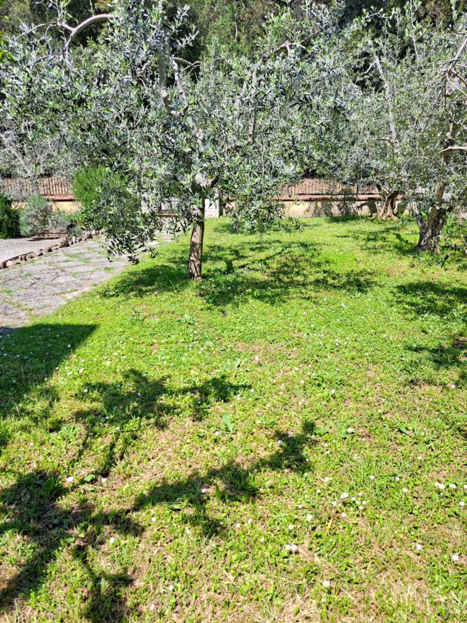 הוילה Montepulciano Stazione Casa Gli Ulivi מראה חיצוני תמונה