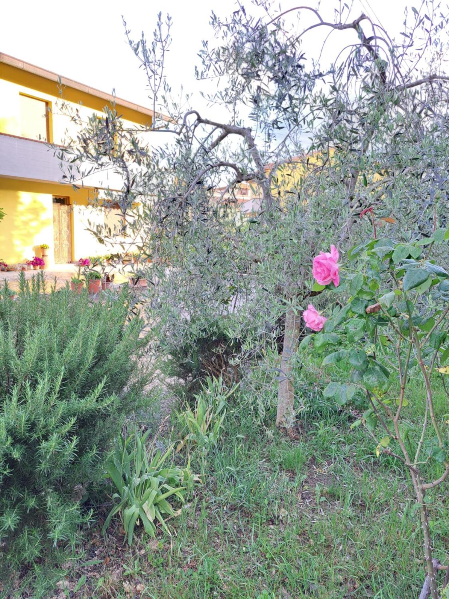 הוילה Montepulciano Stazione Casa Gli Ulivi מראה חיצוני תמונה