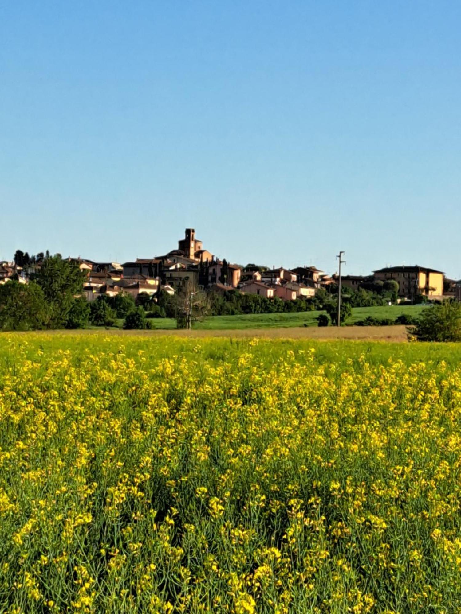 הוילה Montepulciano Stazione Casa Gli Ulivi מראה חיצוני תמונה